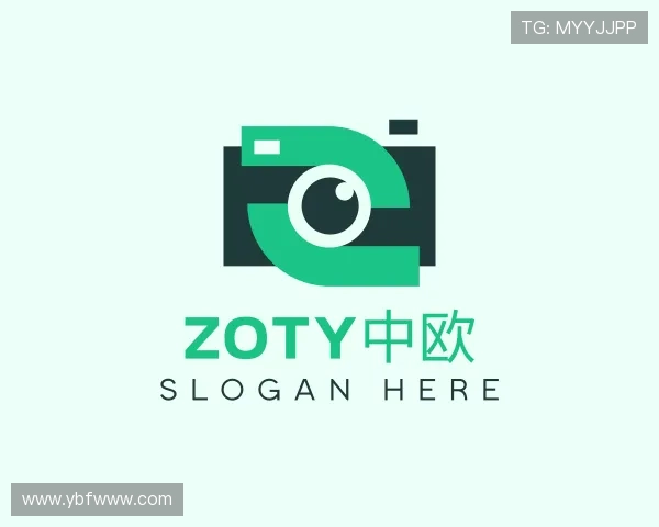 介绍zoty中欧